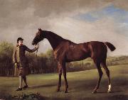 George Stubbs Lustre hero by a Groom oil